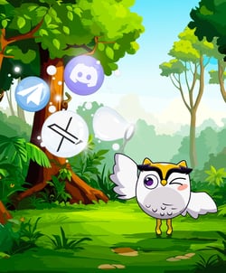 Galxe - Owlto Community Guardian