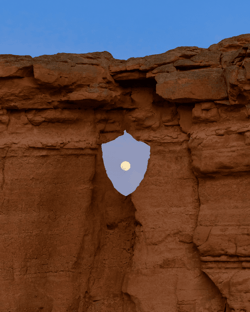 Nature Stands with Crypto