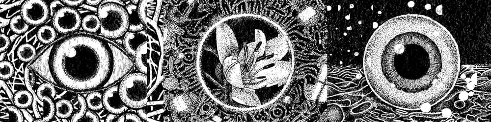 Jake Fried: Open Eyes (Flower)