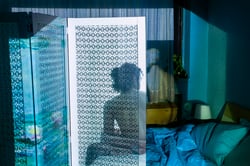 A projector naturally sheds light onto a screen