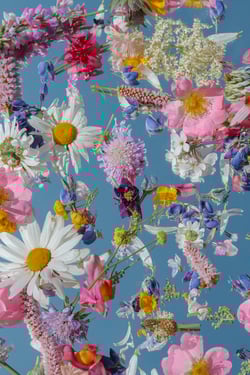 Blossom Maneuver