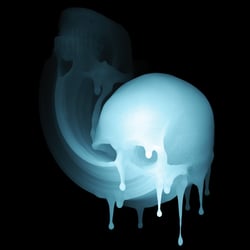 Skin HODLR