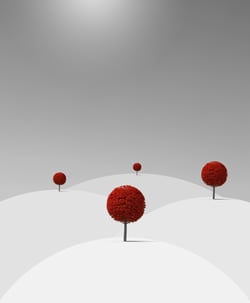 Magical Trees