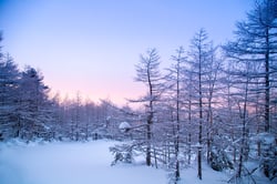 Faint Light