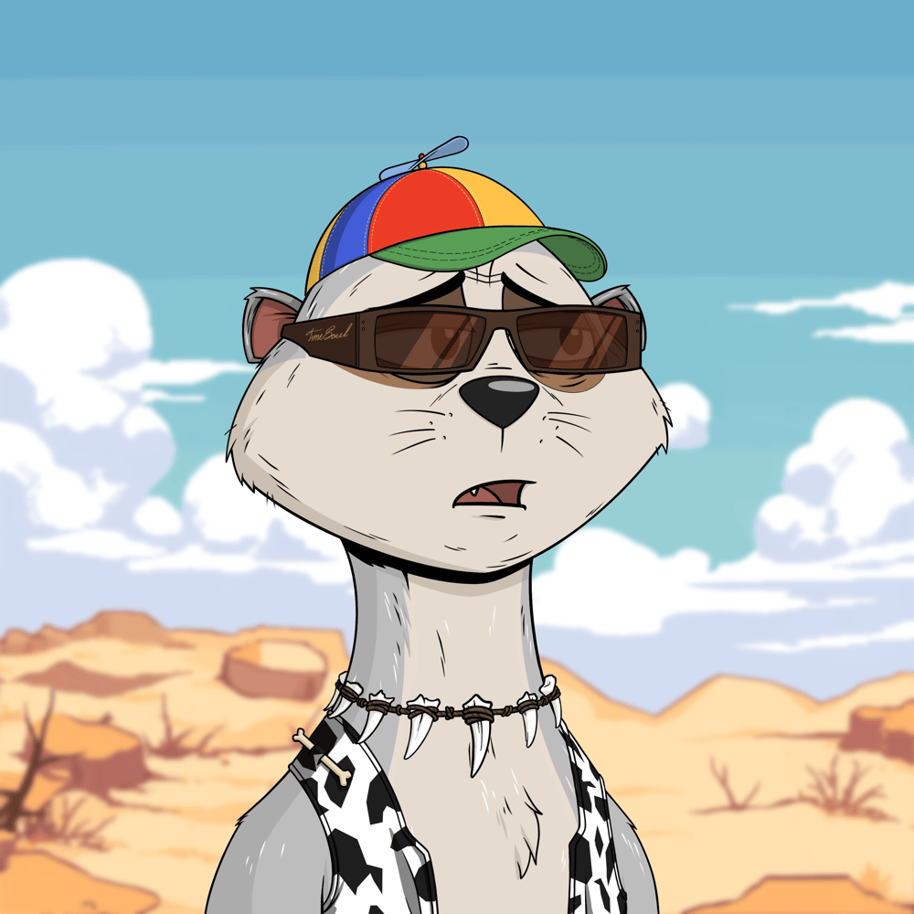 Worried Meerkat #522