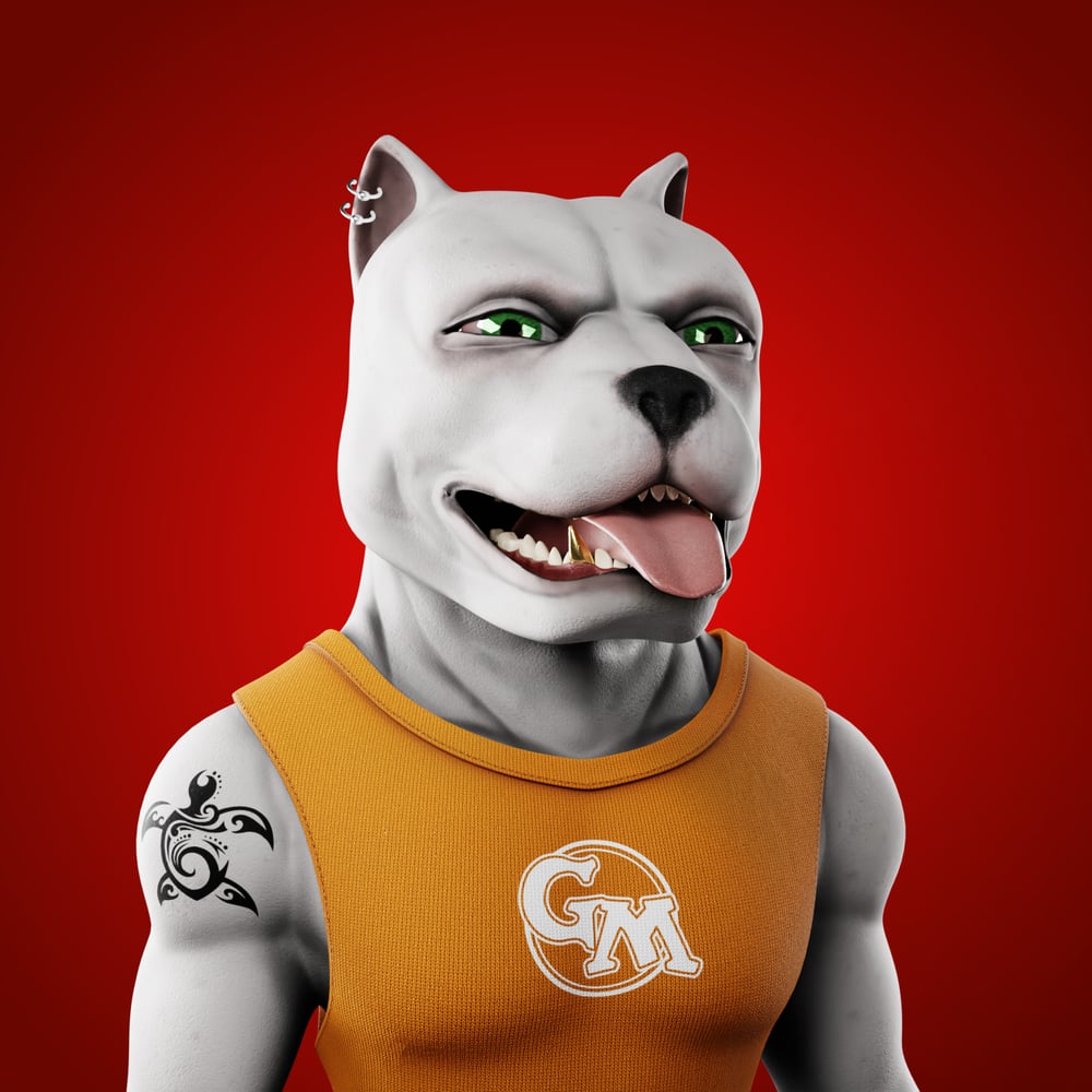 Token Image