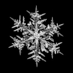 WINTΞR Seasons