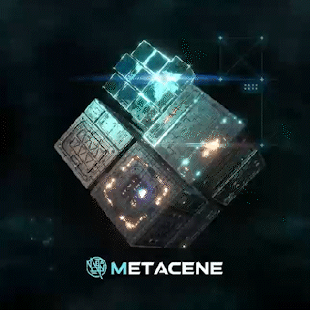 MetaCene Treasure Box #807