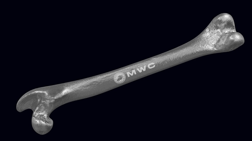 MWC Bone #141