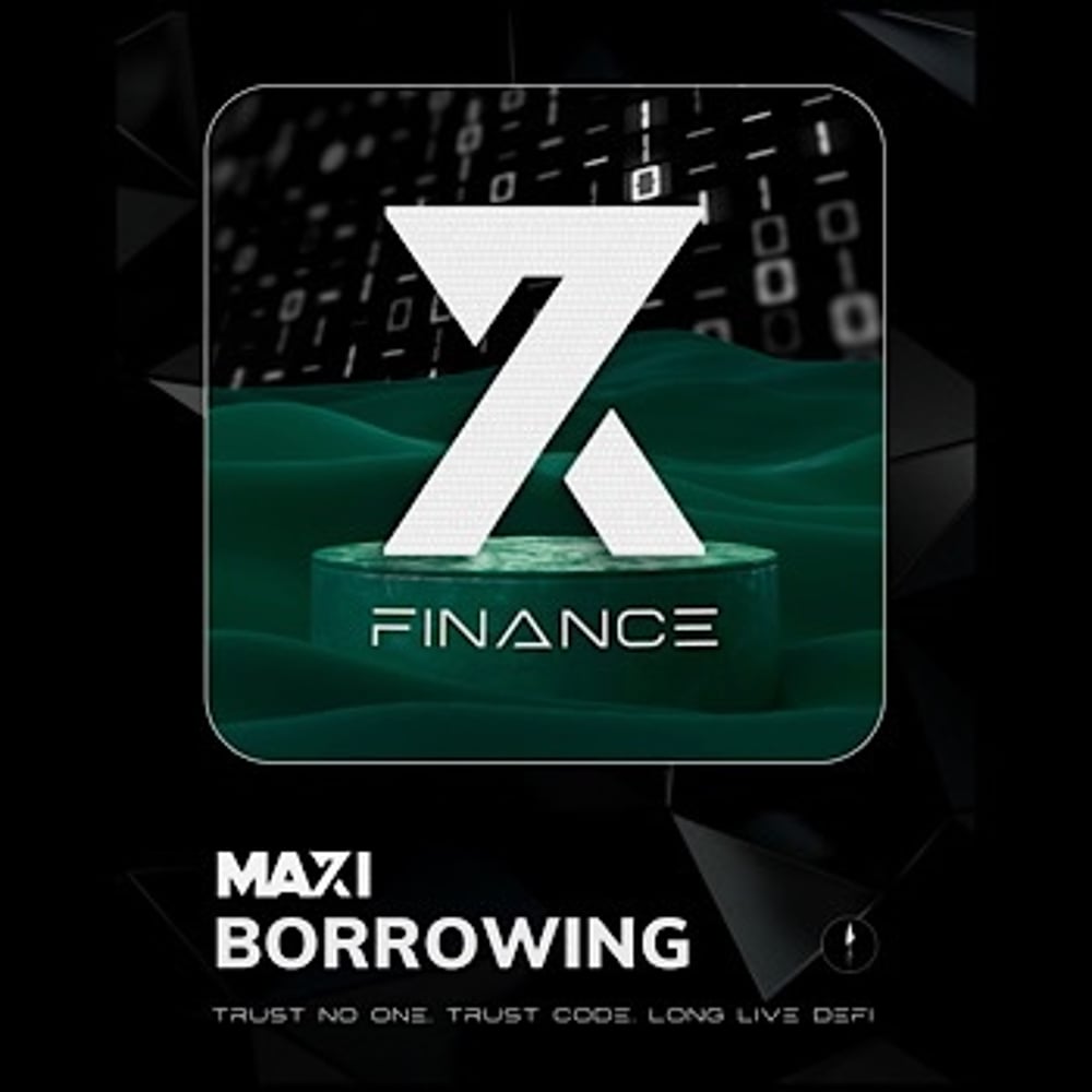 X7 Borrowing Maxi # 20