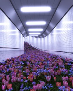Infinite Gardens