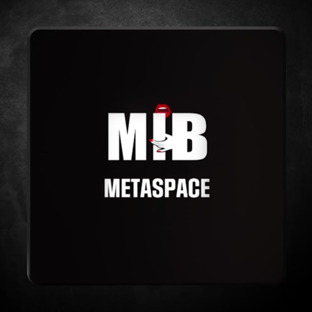 MIB19Metaspace