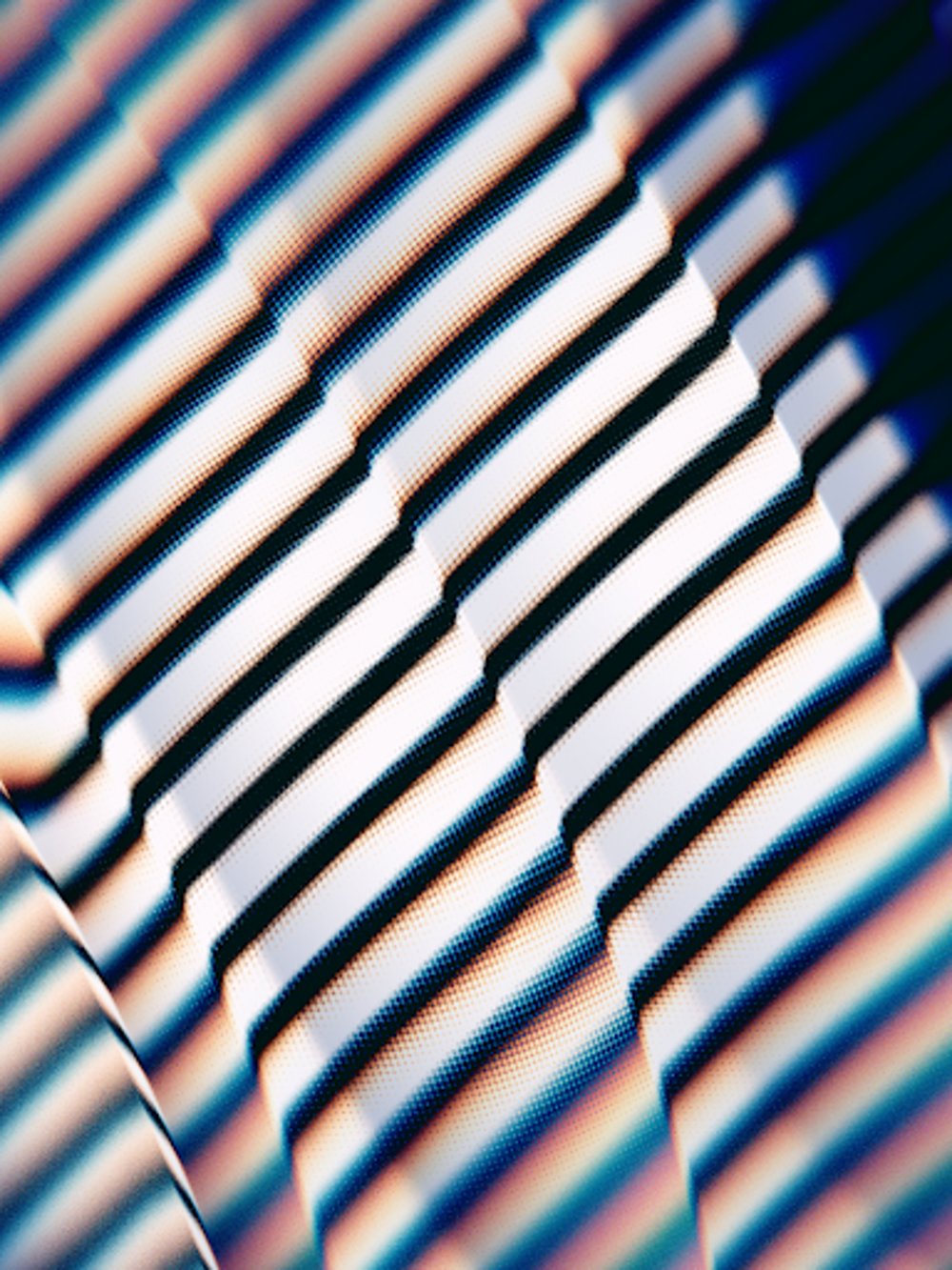 Blind Spots #213