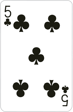 PLAYING CARDS V3