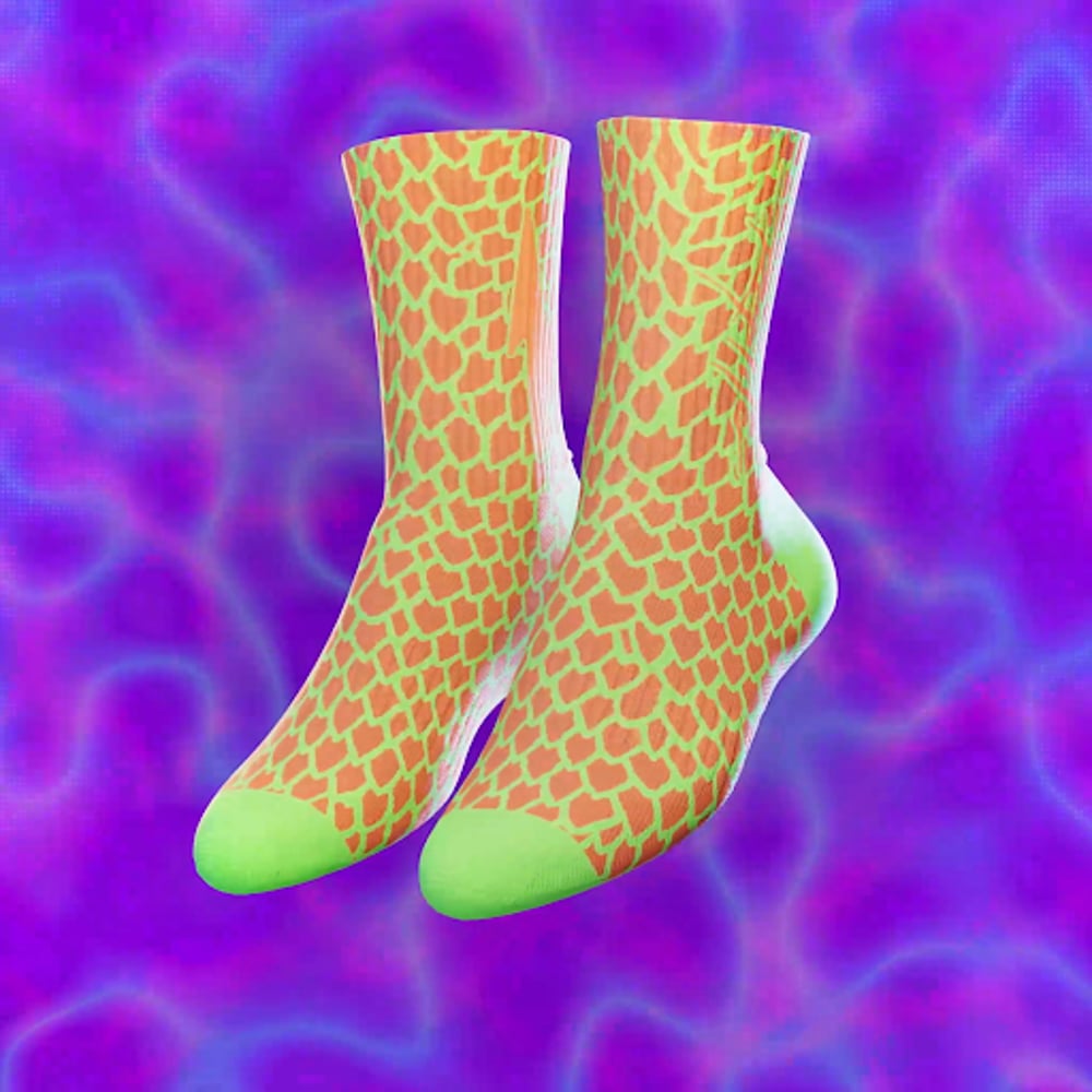 Reptile Socks 🦎