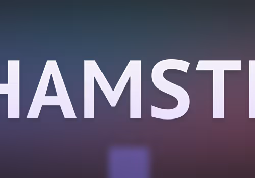 xHamster NFT