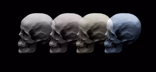 THE SKULLS