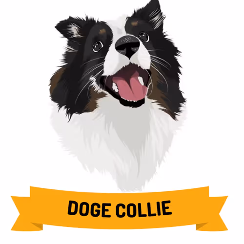 DogeCollie