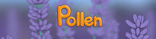Pollen by Petio