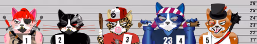 Mad Cat Militia