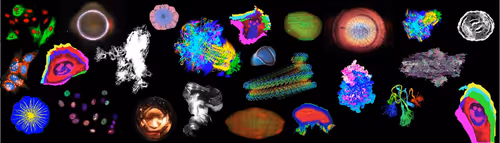 DeSciWorld Microbes