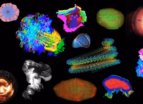 DeSciWorld Microbes