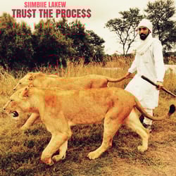 Siimbiie Lakew - TRU$T THE PROCE$$