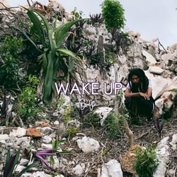 Evaflow SkyStarter - Wake Up