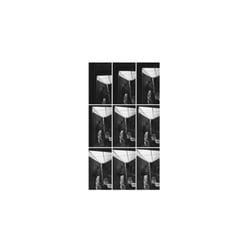 the park - Settling