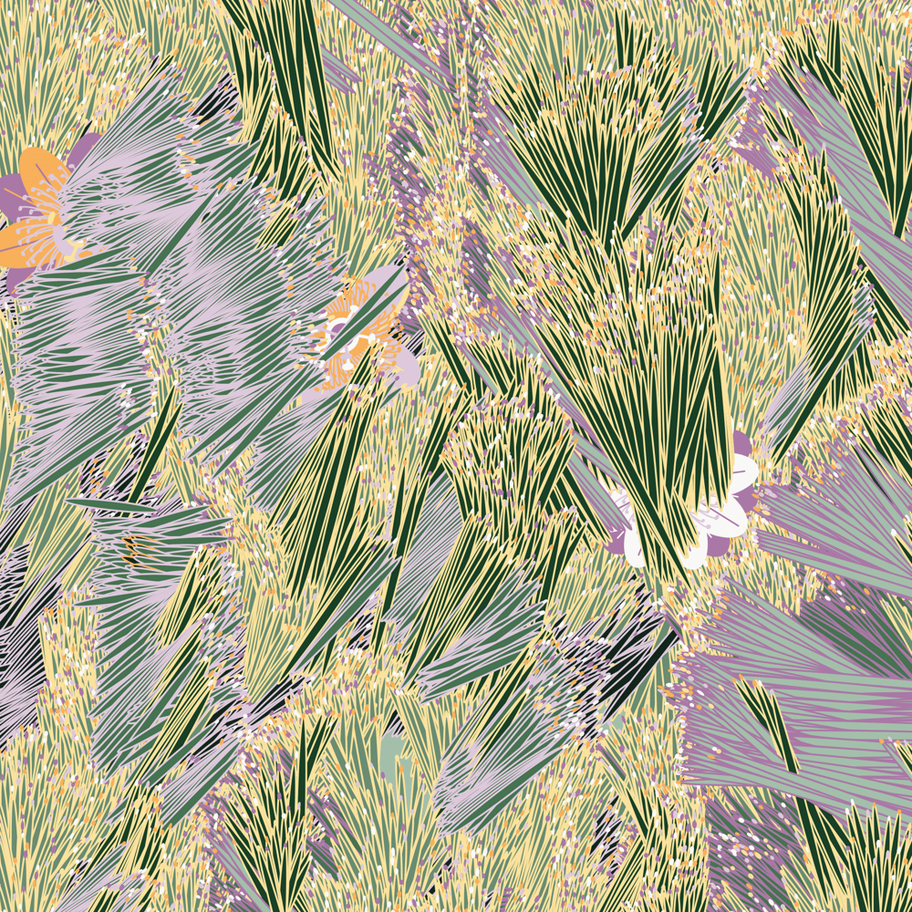 Fragments of an Infinite Field #65