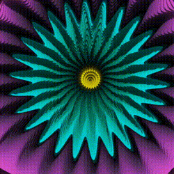 collection avatar