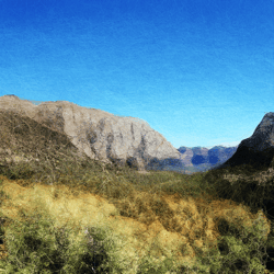 Landscapes — 00010100110110000011110111011010111010010001010101101