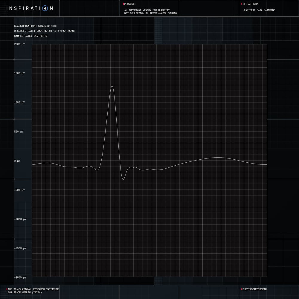 AN IMPORTANT MEMORY FOR HUMANITY - HEARTBEAT DATA PAINTING
