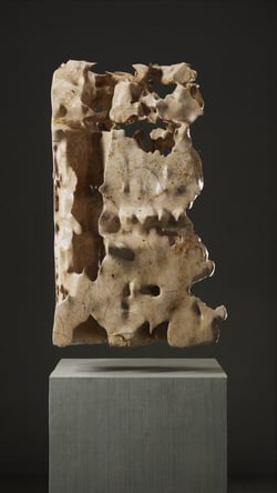 ULTRASOUND DATA SCULPTURES #84