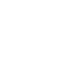 Polyverse Genesis