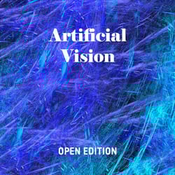 Artificial Vision  Open Edition