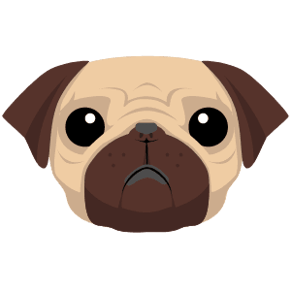 test432134221