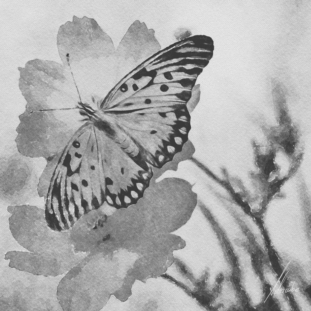 Butterfly [2/3]