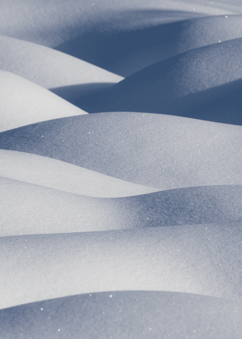 Abstracts in Snow