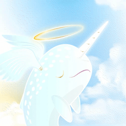 NiftyNarwhals