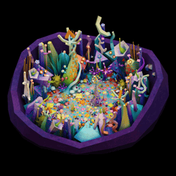 Artifex Experiences