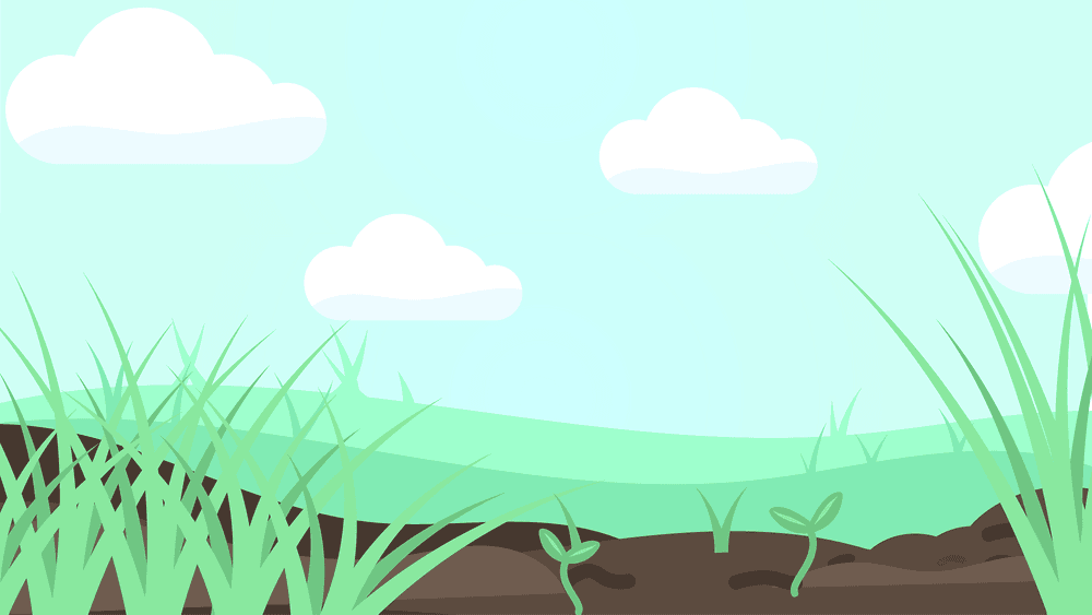 Sprouts NFT