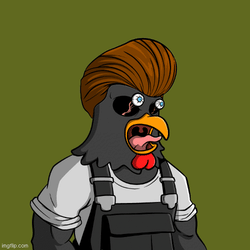 Angry Roosters Club
