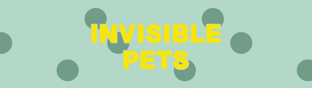 Invisible Pet