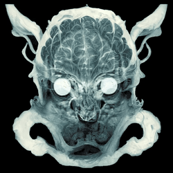 Gargoyles V2