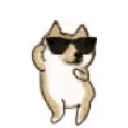 DogsRuleTheWorld