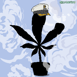Silly Sativas