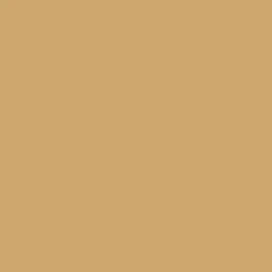 AI Trianglize Birds