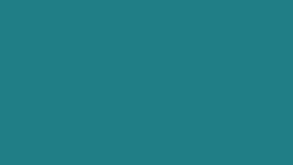 VeeBits Official