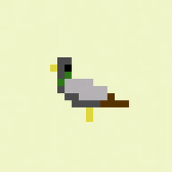 The Crypto Pigeons